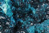 Sparkling Blue Veszelyite Crystals with Zincolibethenite - Congo #355919-1